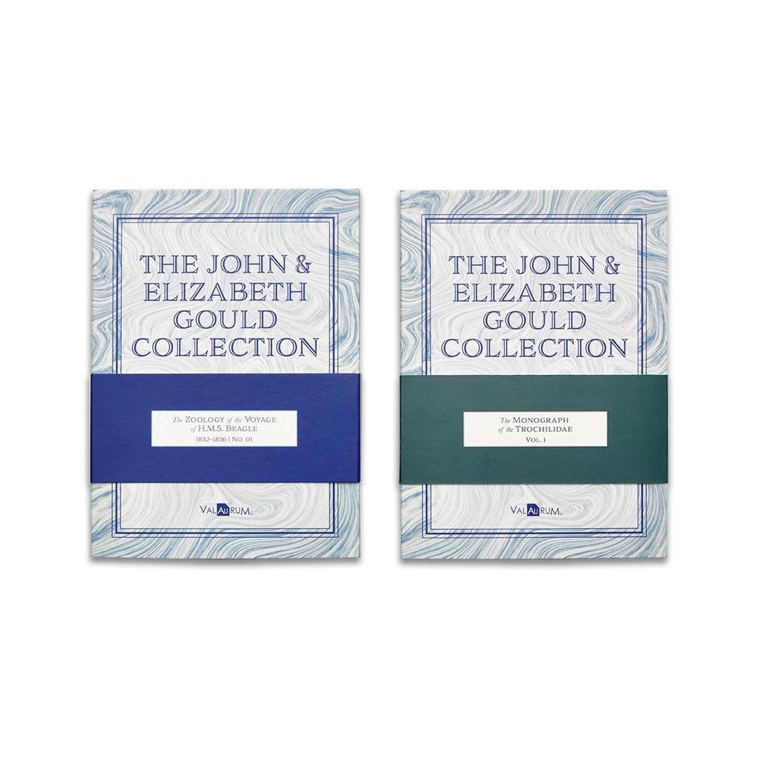 The John and Elizabeth Gould Aurum® 24k Gold Collection Bundle