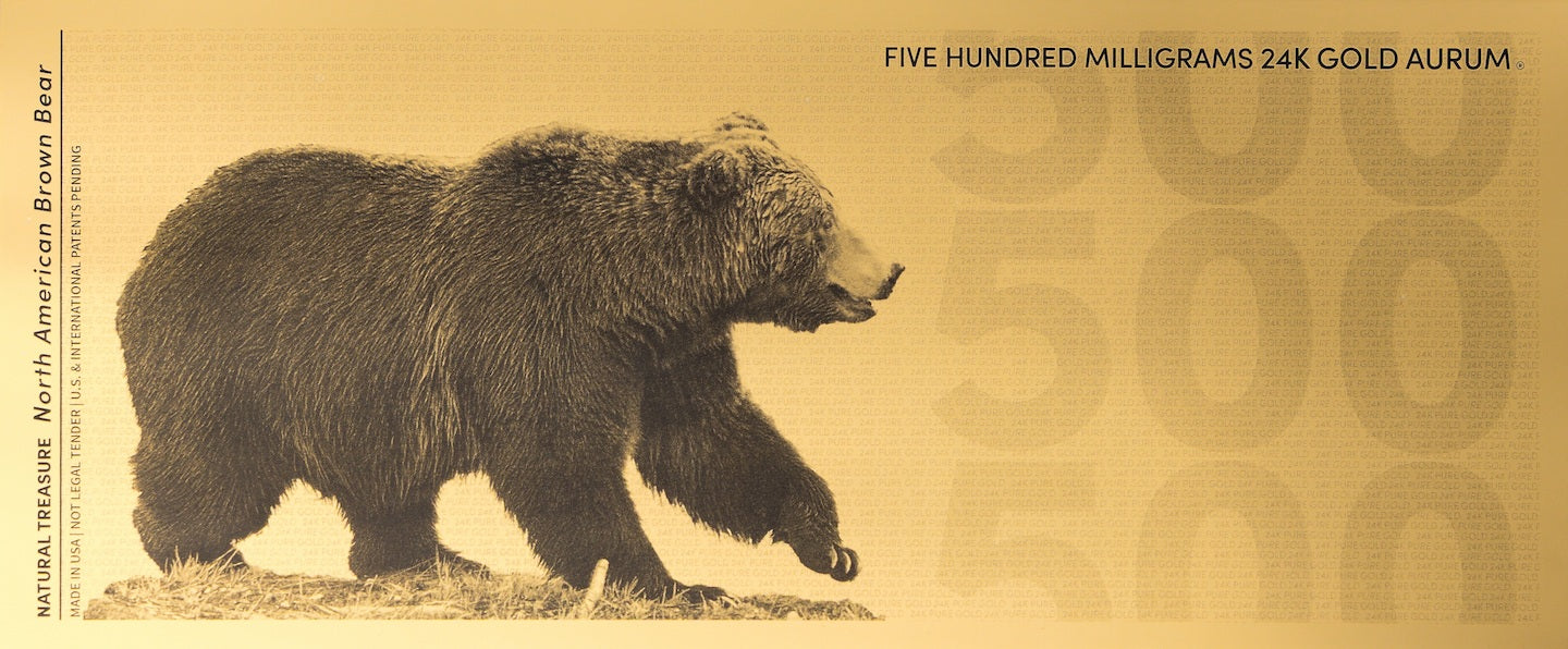 natural treasure brown bear 24k 500mg fine gold bill reverse side design