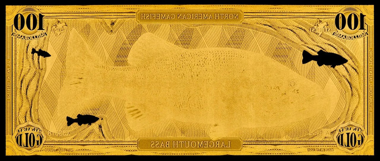 Largemouth Bass Aurum® 100mg 24k Gold Bill
