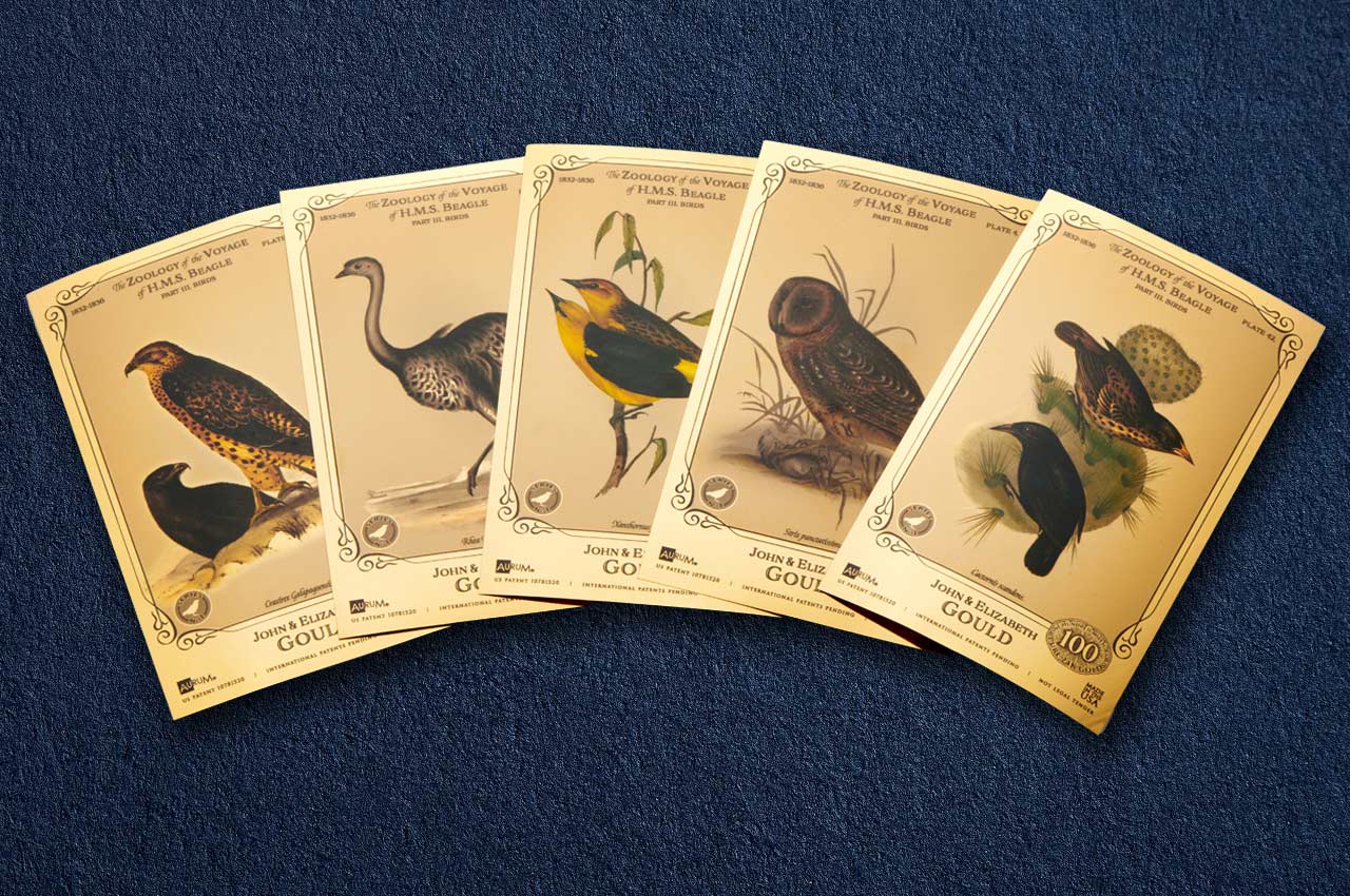 The John and Elizabeth Gould Aurum 24k Gold Collection - H.M.S. Beagle set showing all collectible cards with 100mg gold each