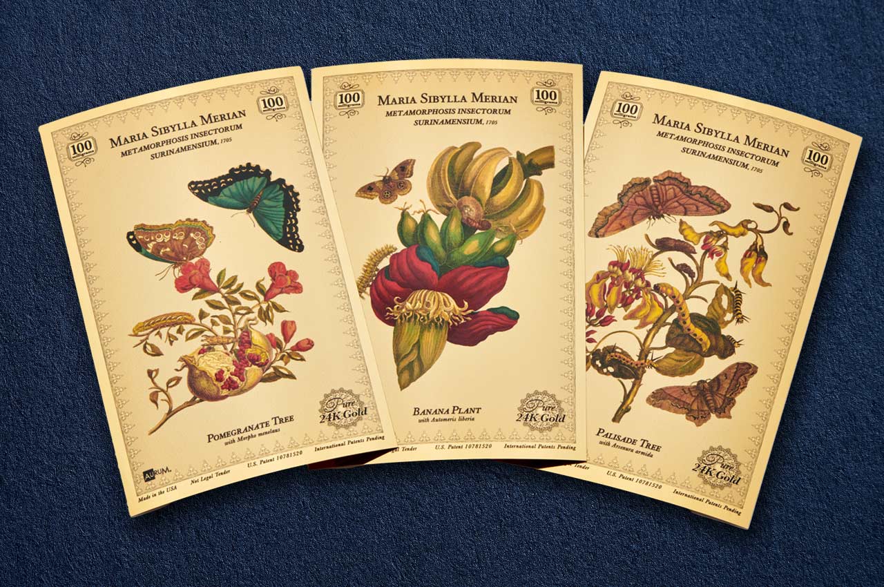 the maria sibylla merian gold card collectible set with 100mg of 24k gold each