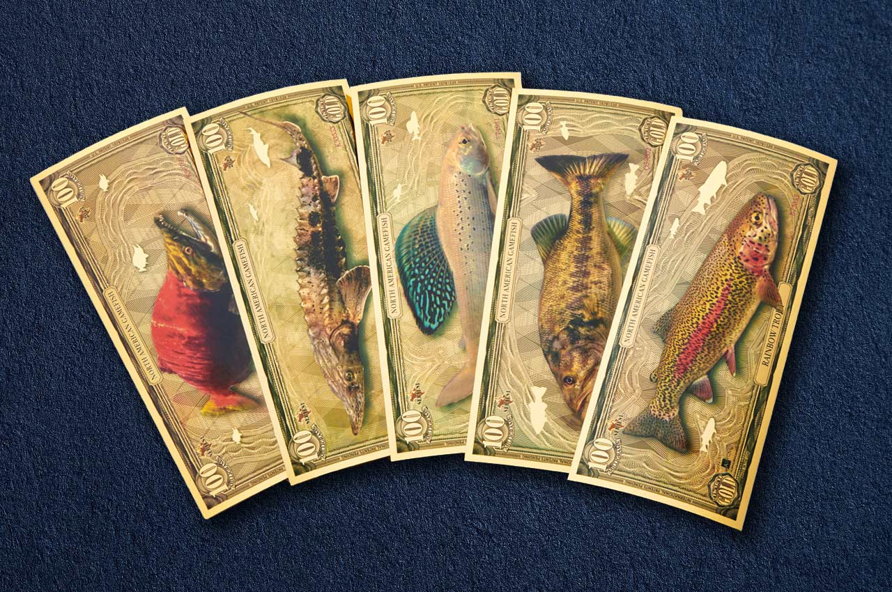 100mg gold collectible bills featuring five game fish shown fanned out