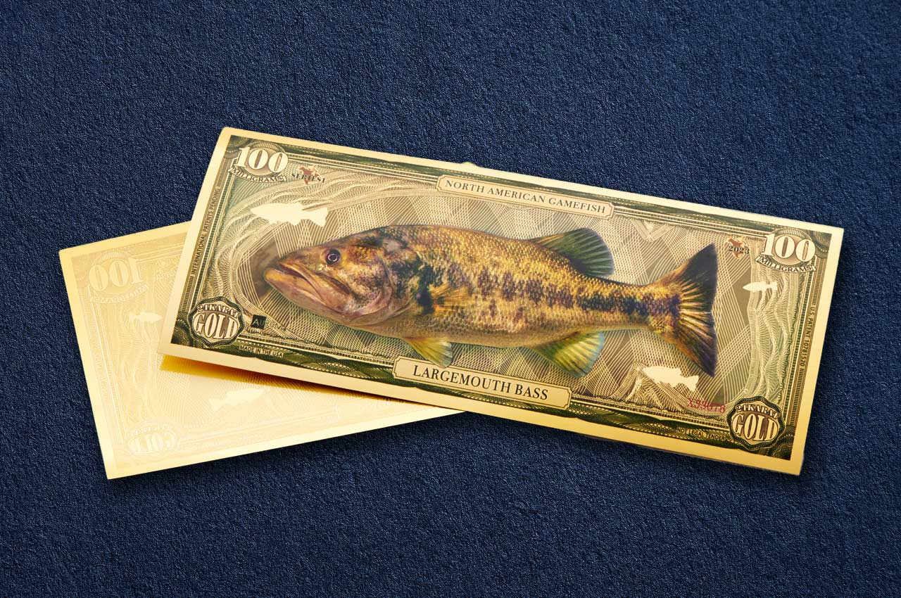 100mg 24k gold collectible gamefish bill depicting the largemouth bass shown obverse over reverse dimensional gold