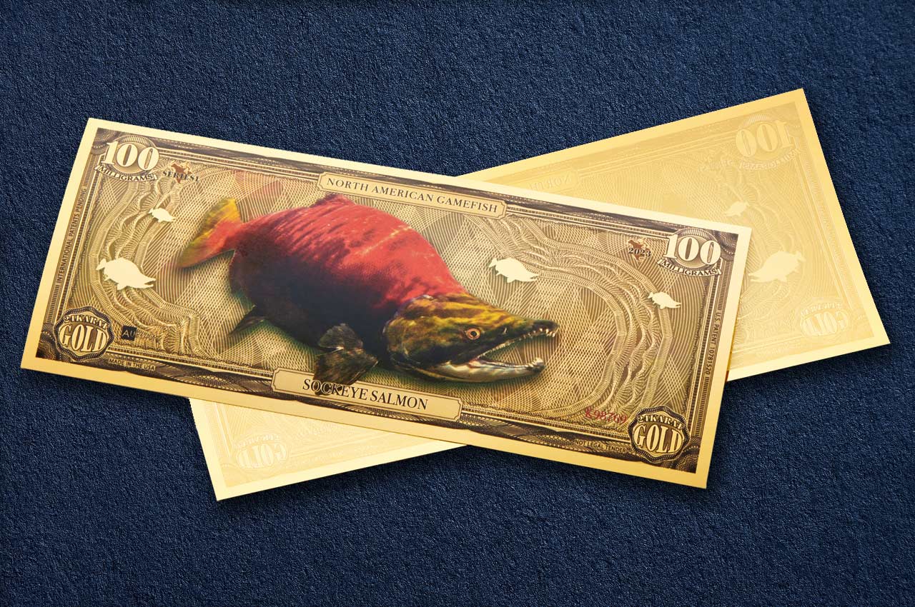100mg 24k gold collectible gamefish bill depicting the sockeye salmon shown obverse over reverse dimensional gold