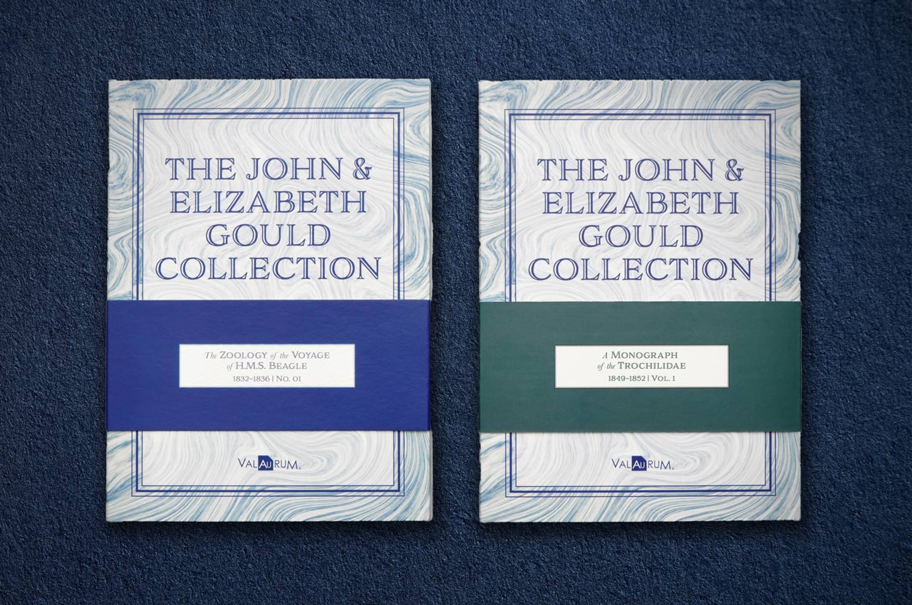 the john and elizabeth gould cellection bundle with all collectible 24k gold cards packaged inside