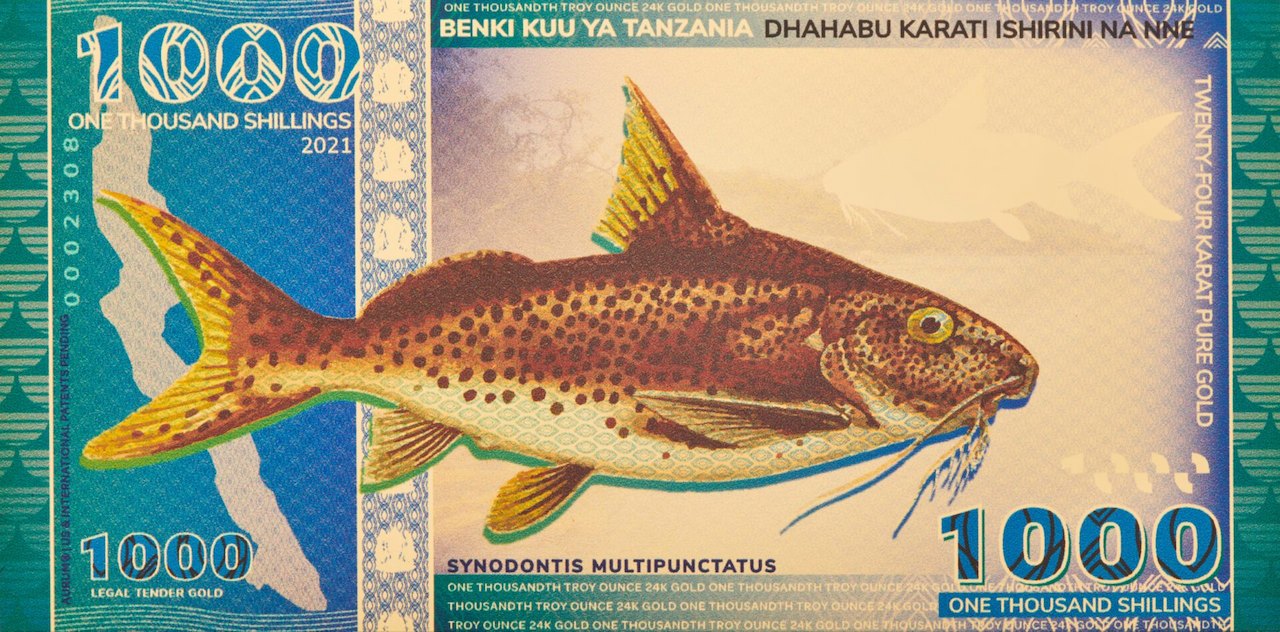 Gold backed legal tender 1000 shillings bank of tanzania 100mg 24k gold aurum lake tanganyika catfish bill front side