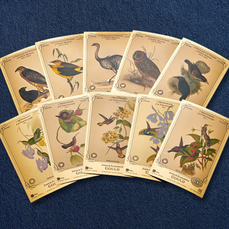 the full merian blackwell aurum collection showing all 24k gold collectible cards