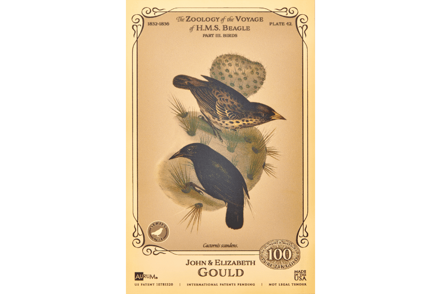 HMS Beagle Cactus Finch Aurum 100mg 24k gold collectible card