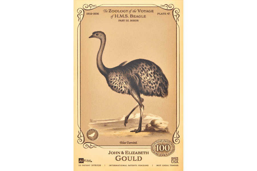 HMS Beagle Darwins Rhea Aurum 100mg 24k gold collectible card
