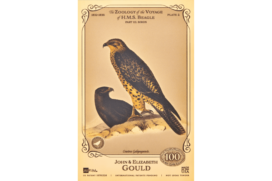HMS Beagle Galapagos Hawk Aurum 100mg 24k gold collectible card