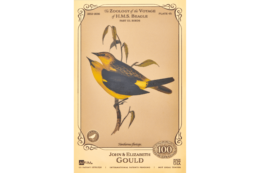 HMS Beagle Saffron Blackbird Aurum 100mg 24k gold collectible card
