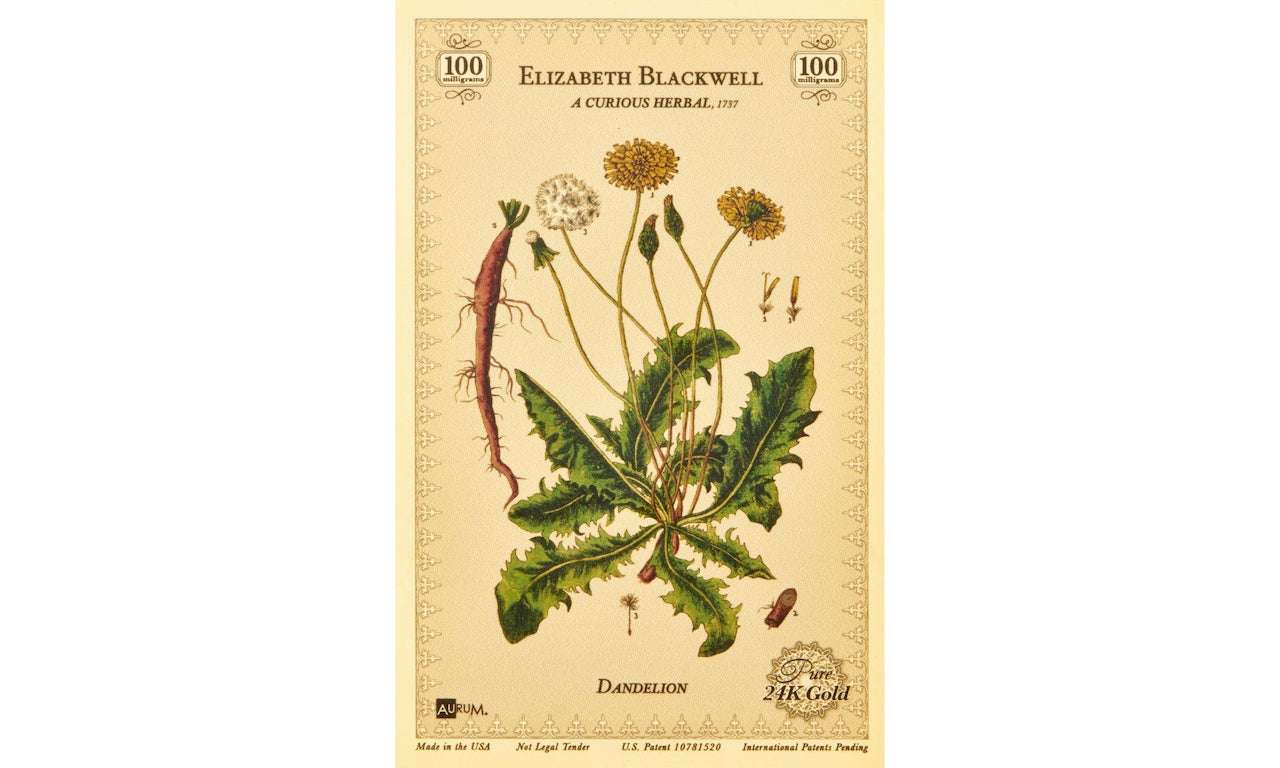 The elizabeth blackwell a curious herbal the dandelion a gold collectible card containing 100mg 24k gold