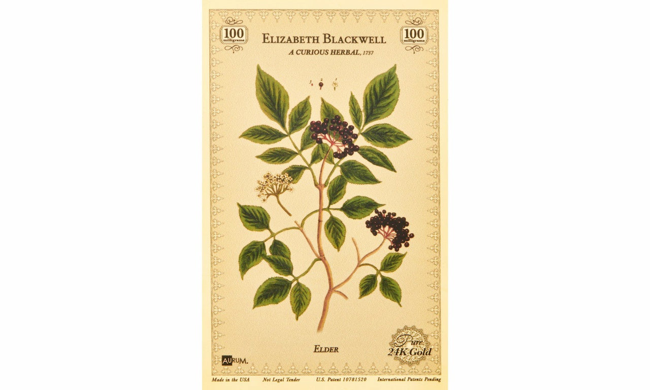 The elizabeth blackwell a curious herbal the elder berry a gold collectible card containing 100mg 24k gold