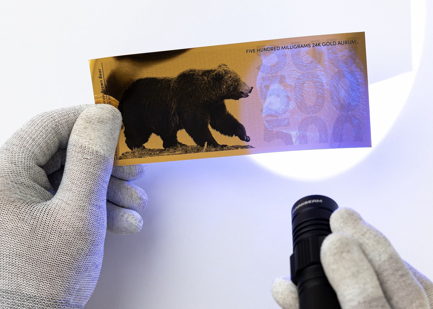 a blacklight held to the right of a half gram gold aurum bill revealing the hidden UV design highlighting a north American brown bear