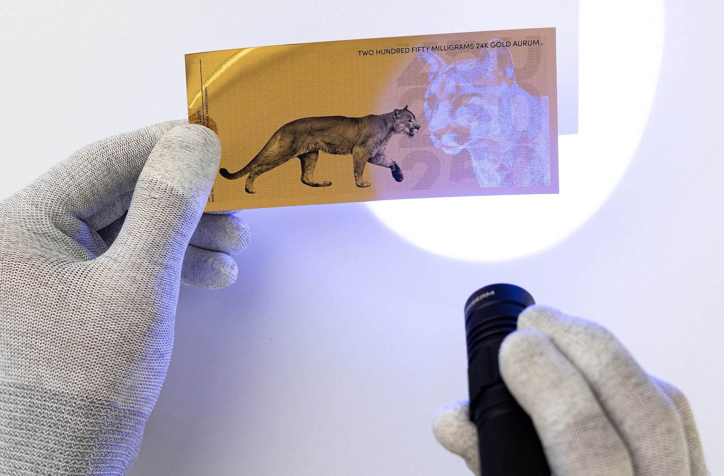 a blacklight held to theright of a 250mg gold aurum bill revealing the hidden UV design the head of a mountain lion