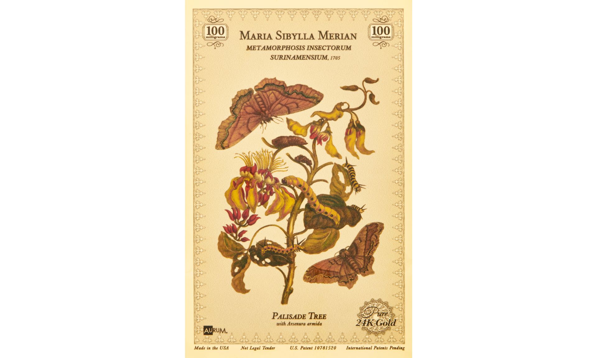 The Maria Sibylla Merian Metamorphosis Insectorum Surinamensium a palisade tree a gold collectible card containing 100mg 24k gold