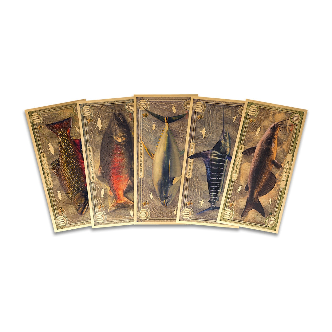 Game Fish Aurum® 24k Gold Set Series II