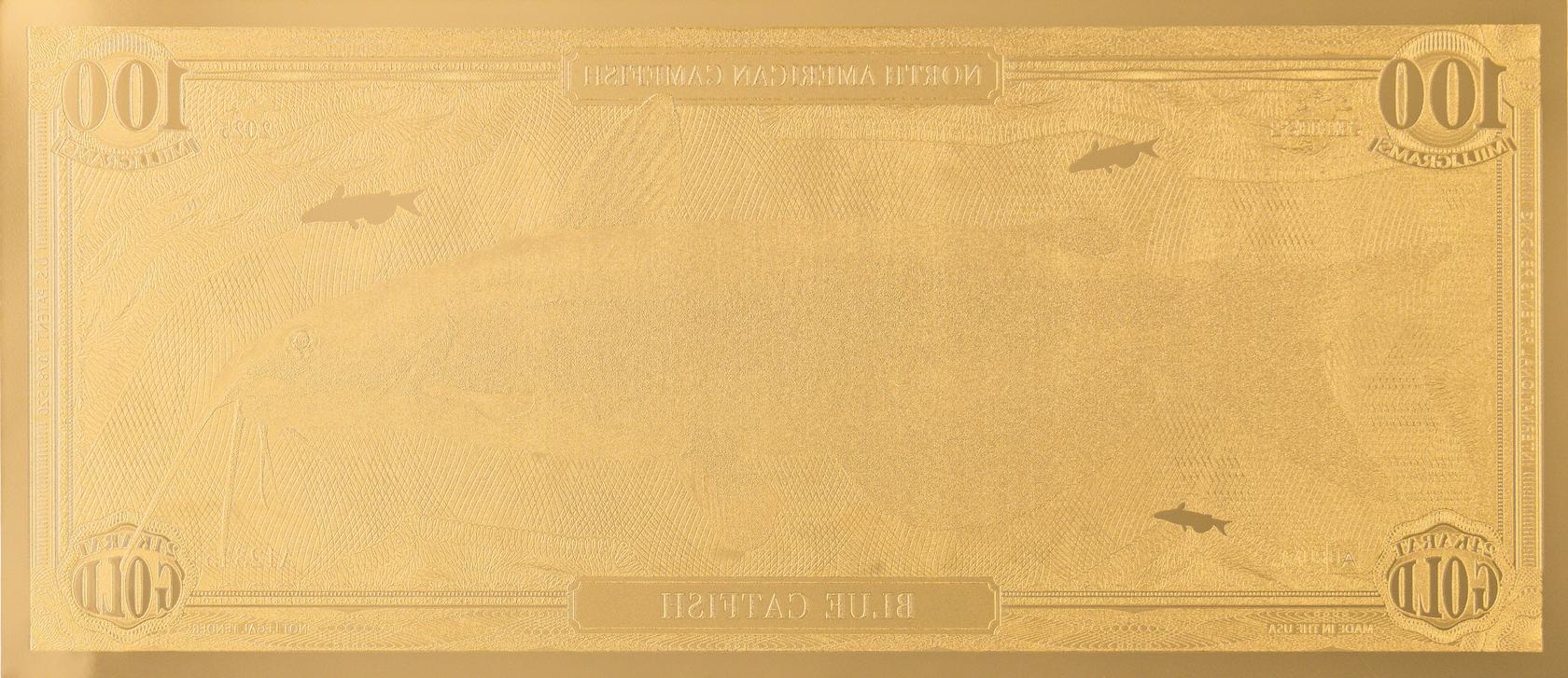 the blue catfish north american gamefish note showing reverse side with dimensional gold