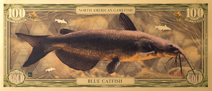 the blue catfish north american gamefish bill with 100mg of 24k gold