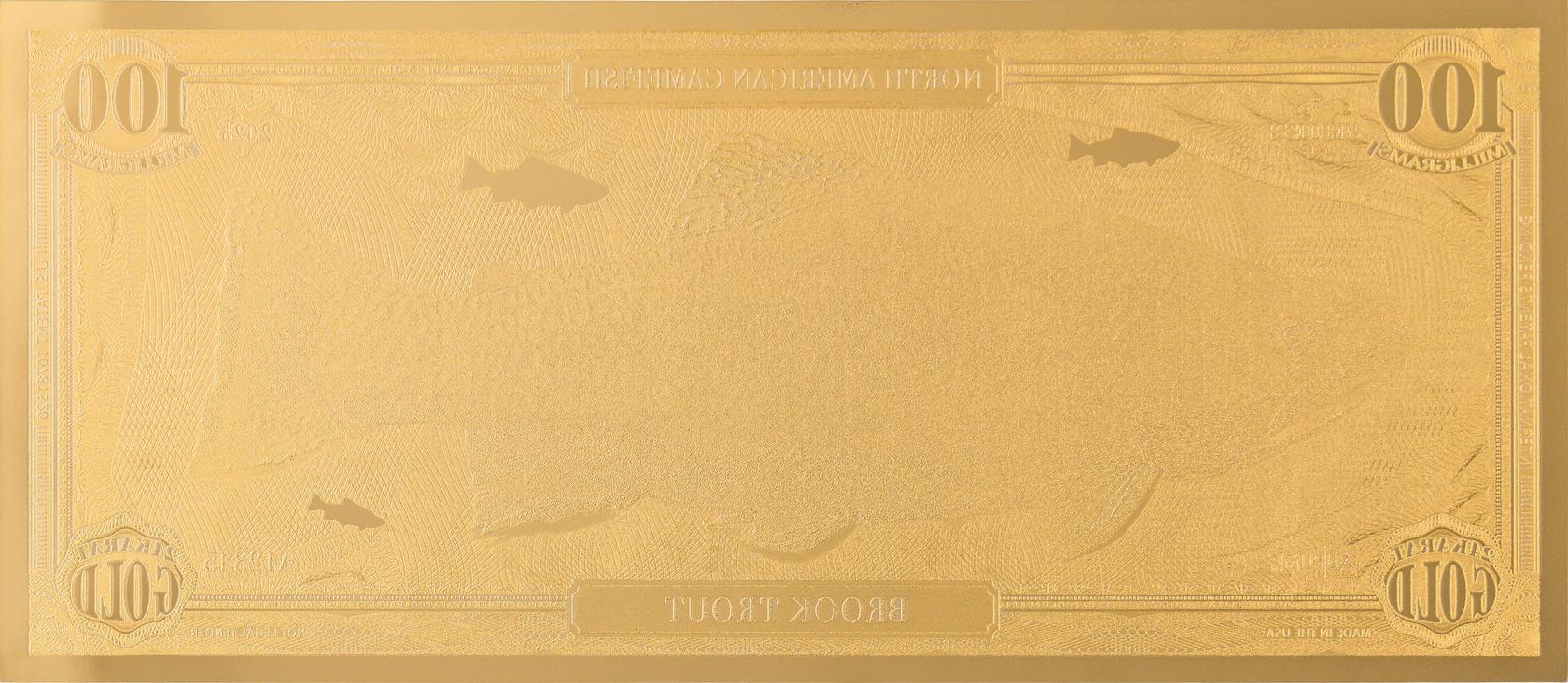 the brook trout north american gamefish note showing reverse side dimensional gold