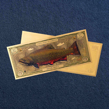 the brook trout north american gamefish bill with 100mg of 24k gold shown obverse over reverse