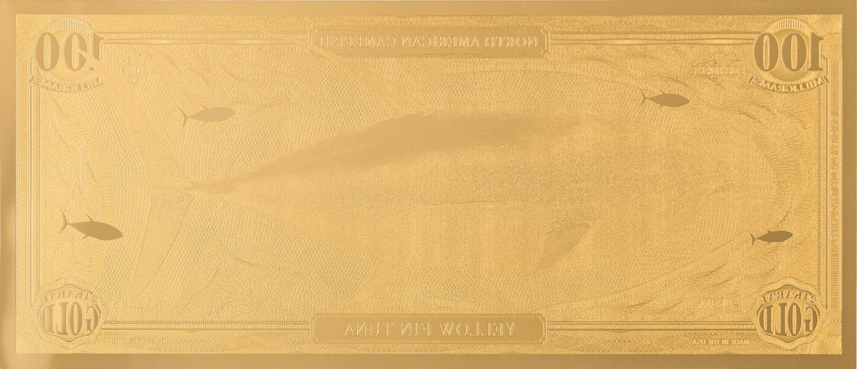 the yellow fin tuna north american gamefish note showing reverse side dimensional gold